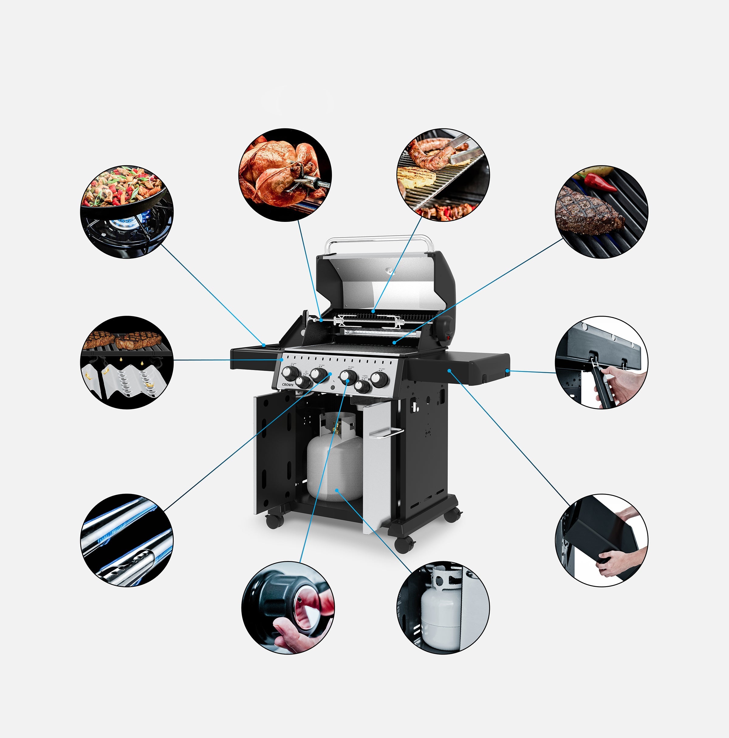 Grill Anatomy Image