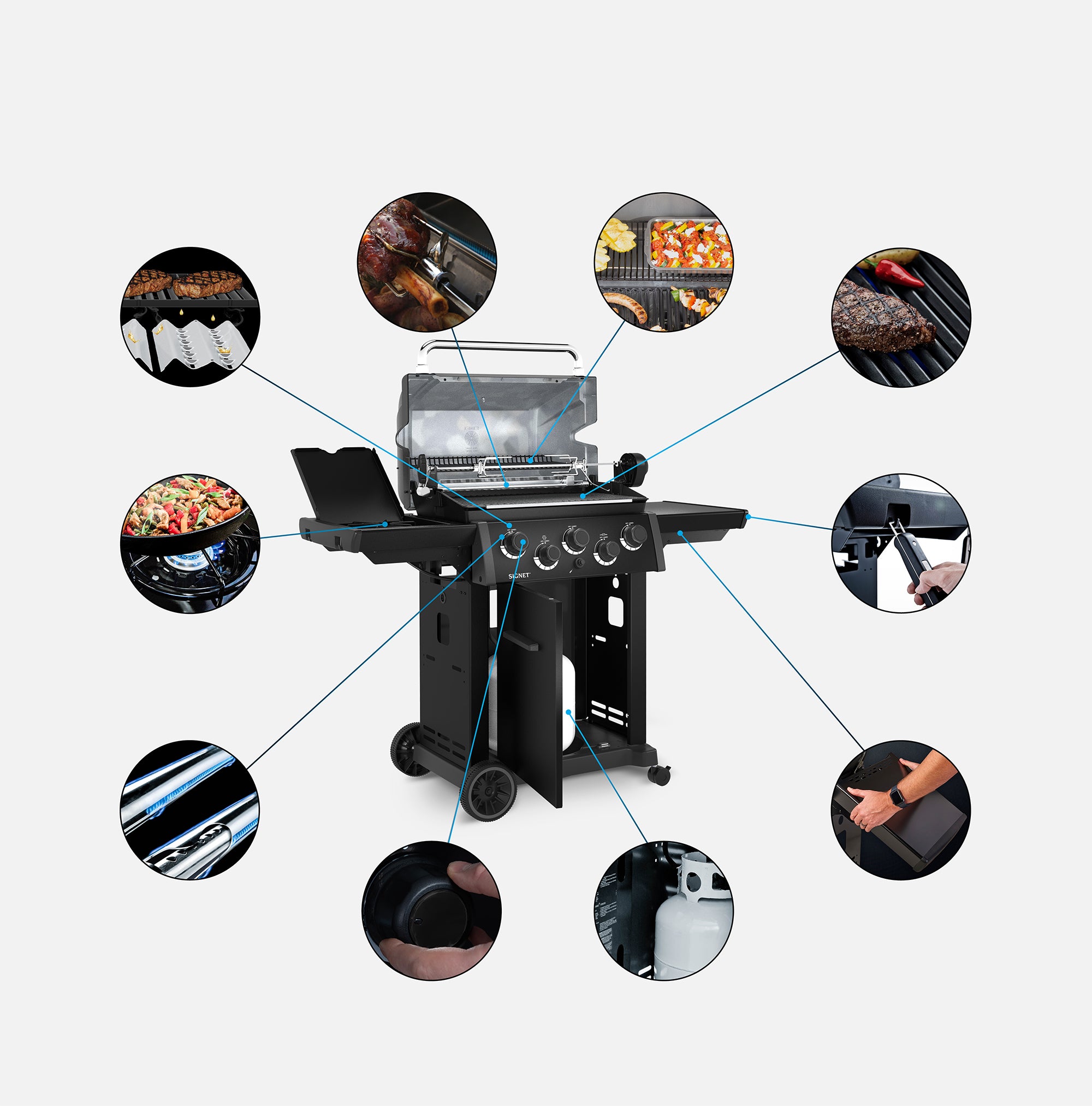 Grill Anatomy Image
